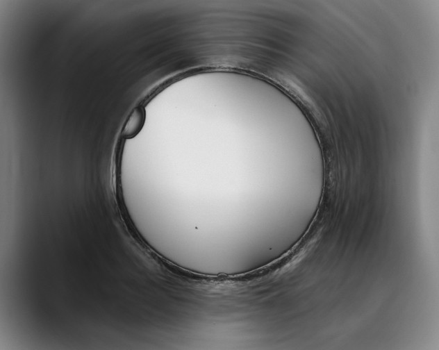 X0000089340940200707131509