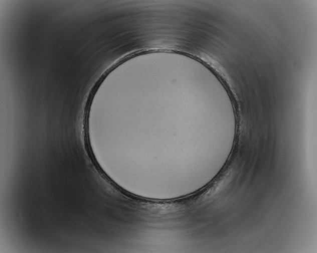 X0000089340941200707131509