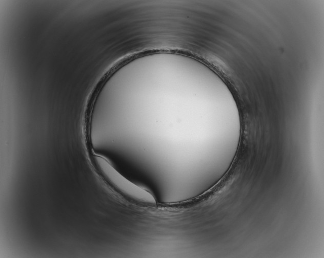 X0000089340942200707131509