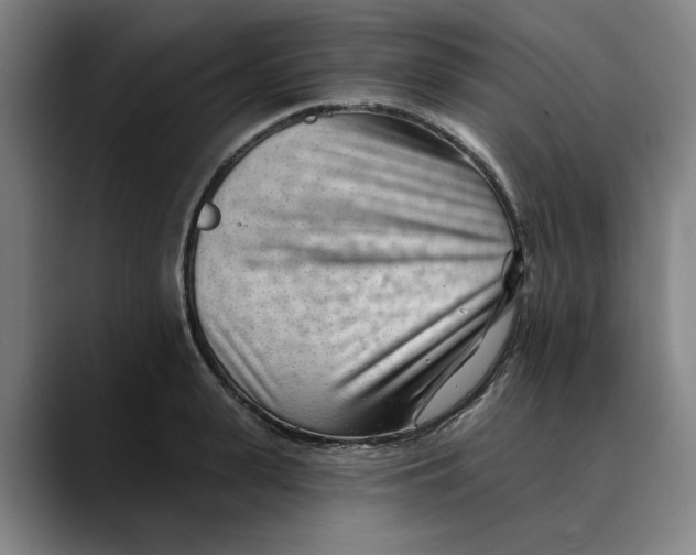 X0000089340943200707131509