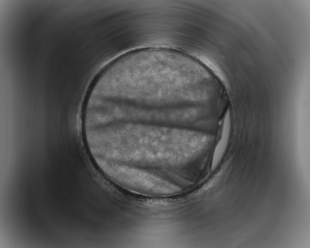 X0000089340944200707131509