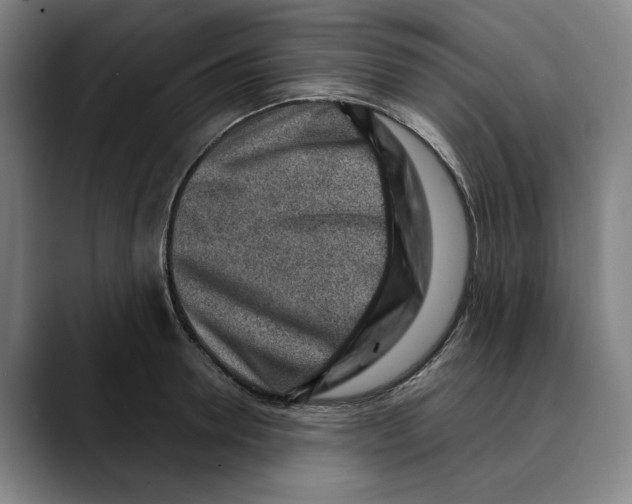 X0000089340946200707131509