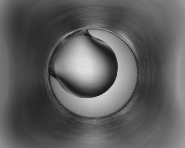 X0000089340948200707131509