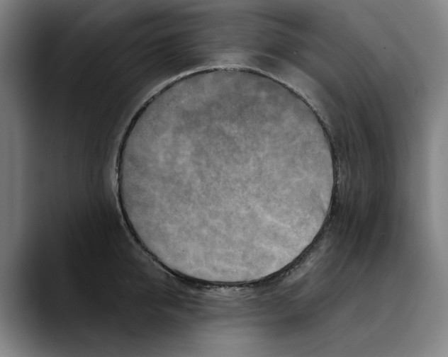 X0000089340950200707131510
