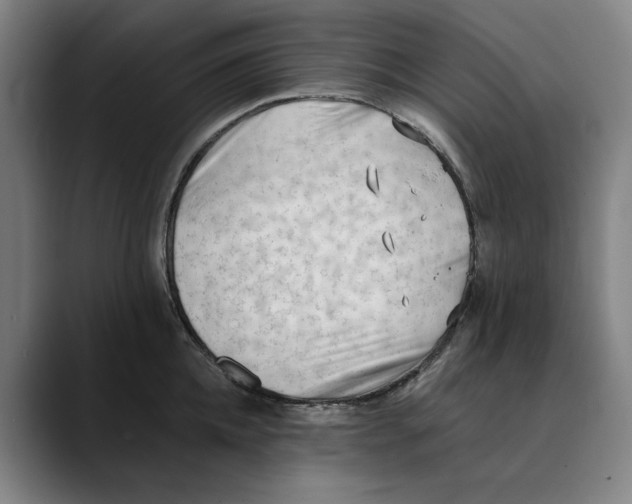 X0000089340952200707131510