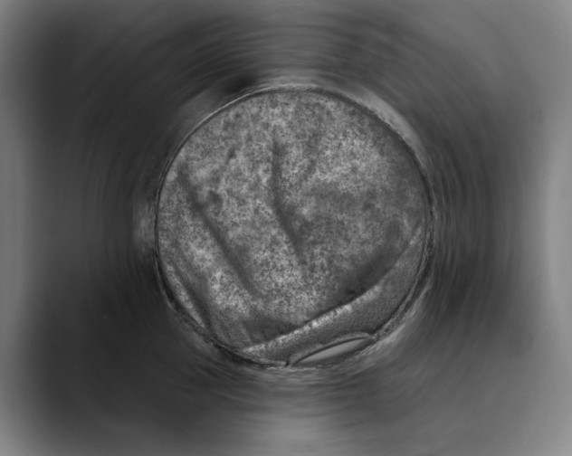 X0000089340953200707131510