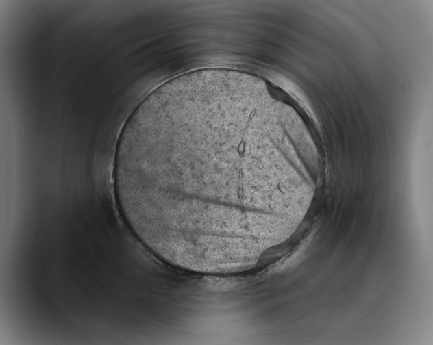 X0000089340954200707131510