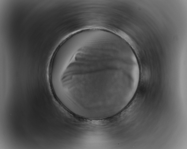 X0000089340958200707131510