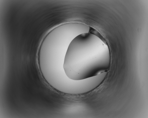 X0000089340960200707131510