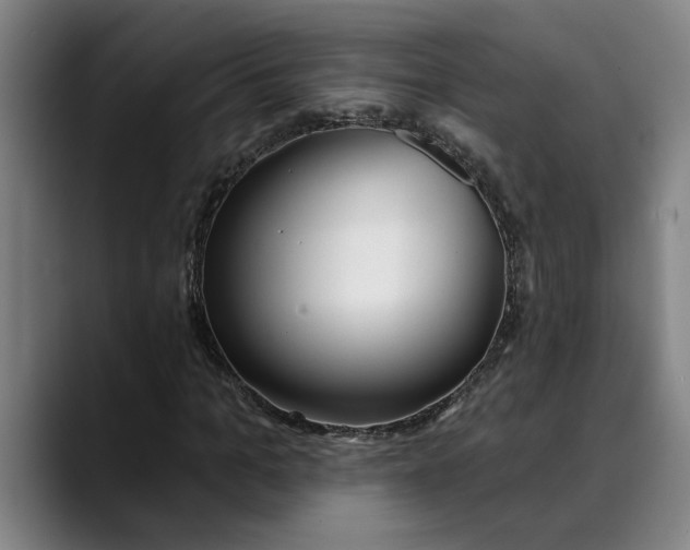 X0000089340965200707131509