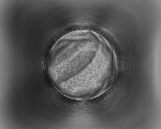 X0000089340966200707131509