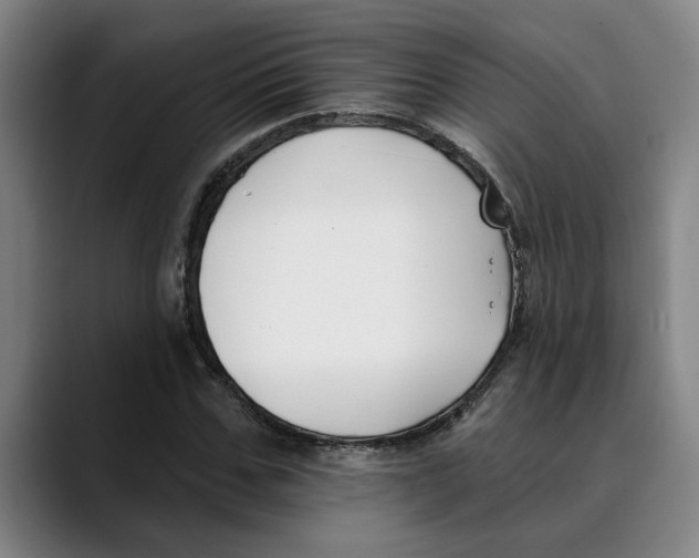 X0000089340971200707131509