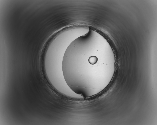 X0000089340973200707131509