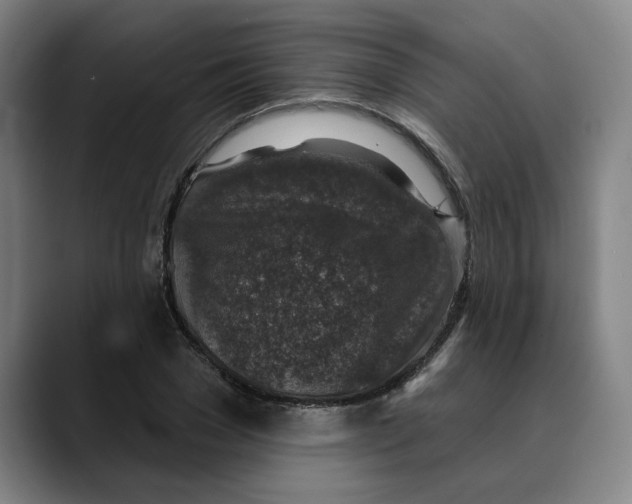 X0000089340977200707131509