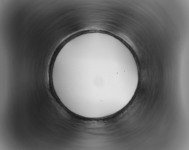 X0000089340980200707131509