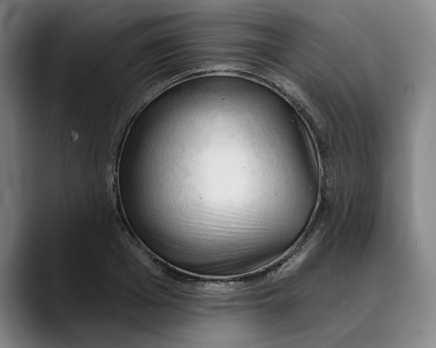 X0000089340985200707131509