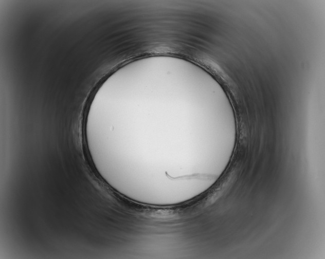 X0000089340986200707131509