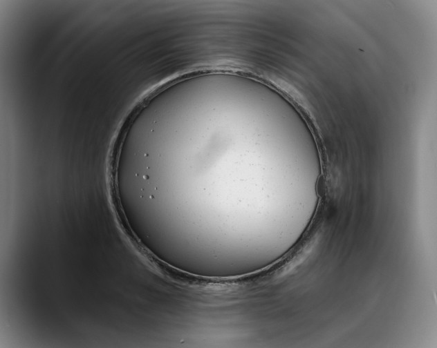 X0000089340989200707131509
