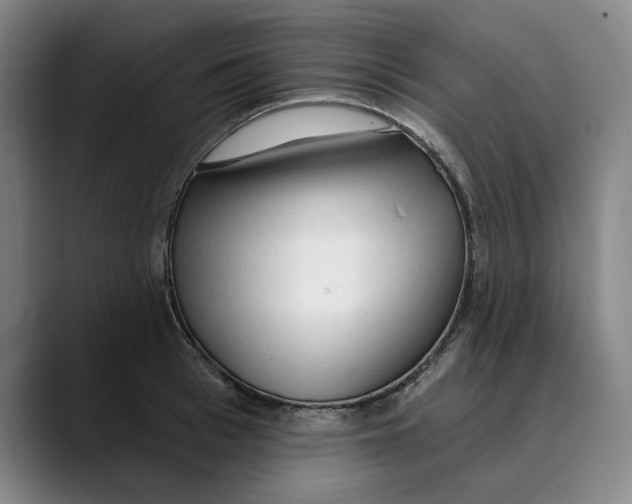 X0000089340993200707131509