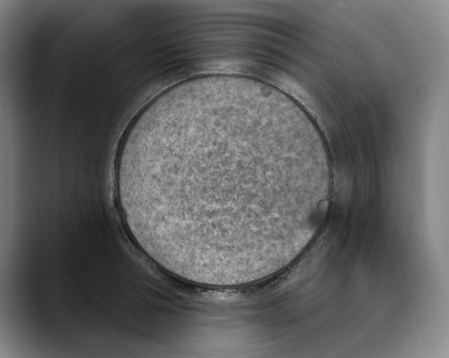 X0000089340994200707131508