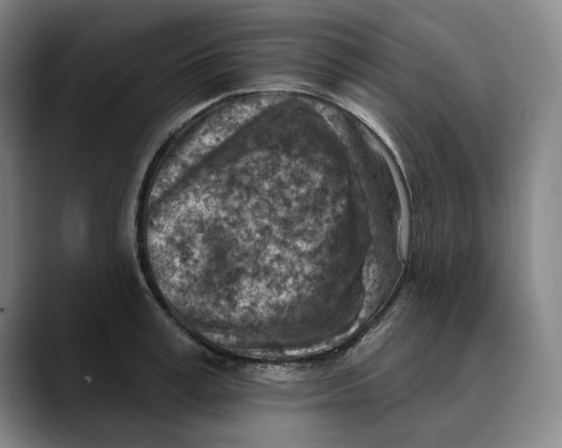 X0000089340995200707131508