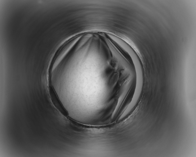 X0000089340996200707131508