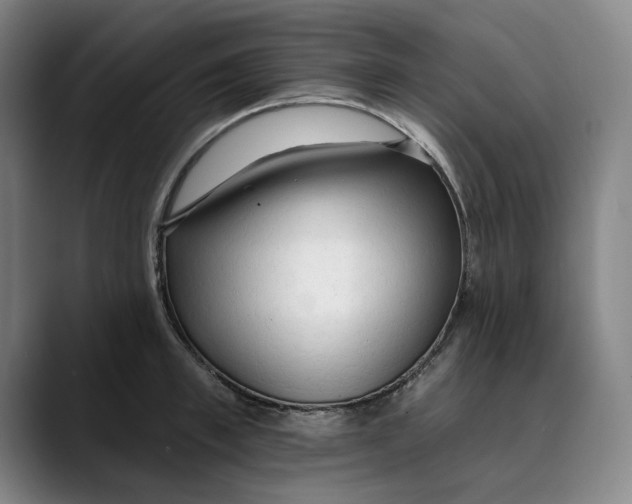 X0000089340997200707131508