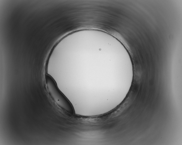 X0000089341004200707131508