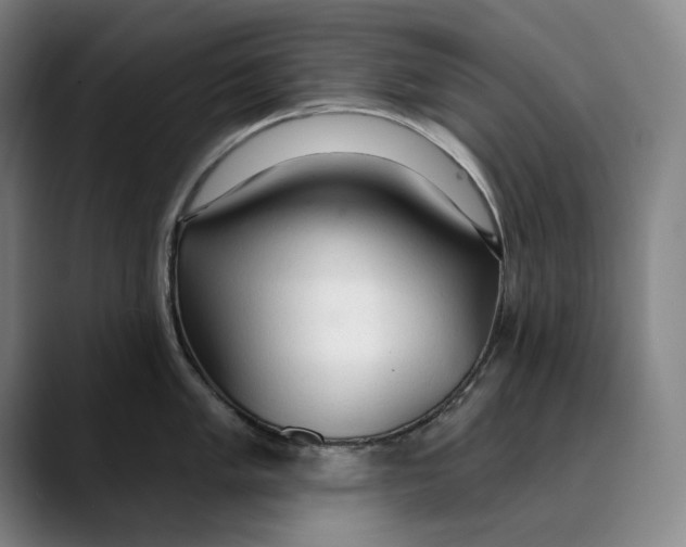 X0000089341005200707131508