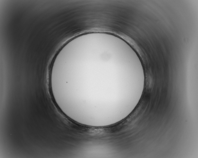 X0000089341006200707131508