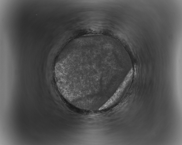 X0000089341009200707131508