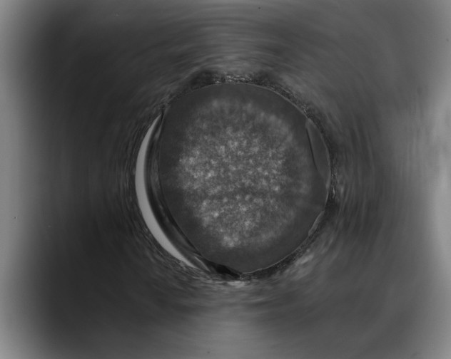 X0000089341010200707131508