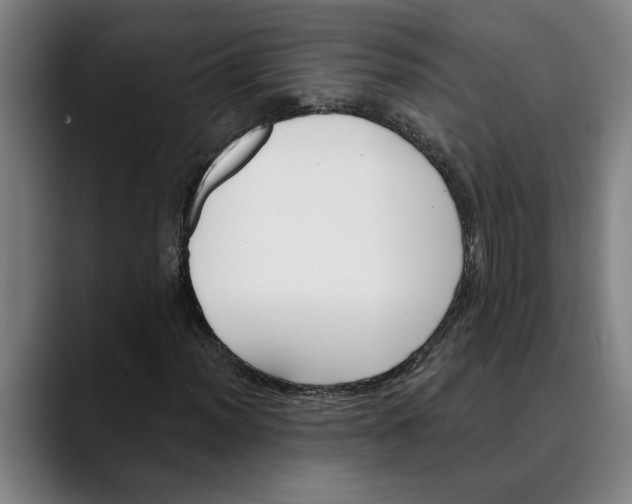 X0000089341012200707131508
