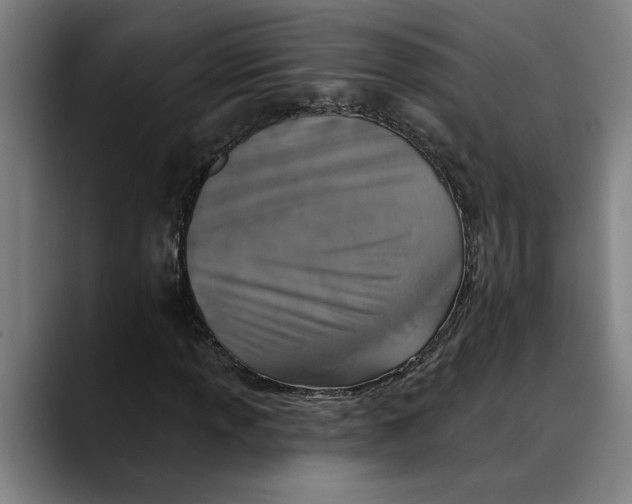 X0000089341013200707131508