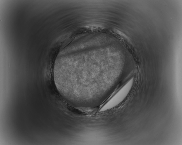 X0000089341014200707131508