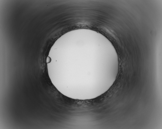 X0000089341015200707131508