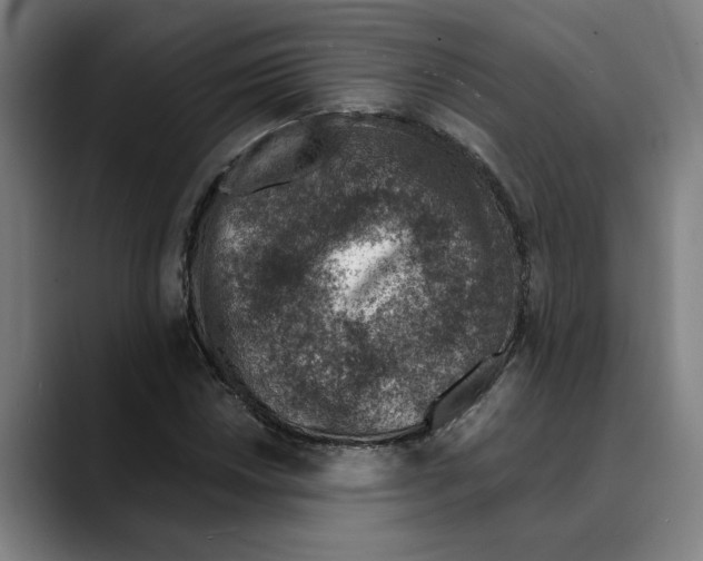 X0000089341018200707131508