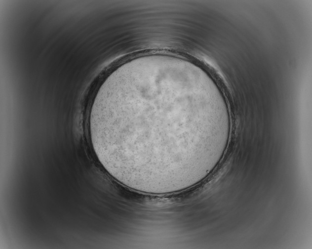X0000089341019200707131508