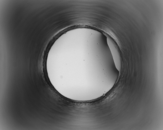 X0000089341020200707131508