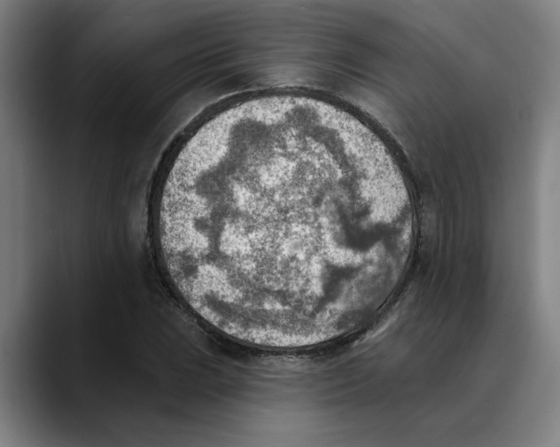 X0000089341023200707131508