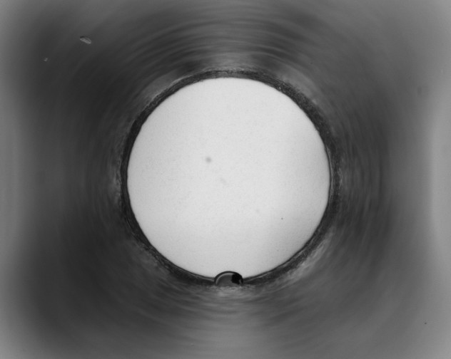 X0000089341025200707131508