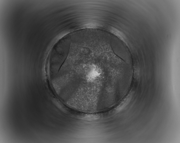 X0000089341026200707131508