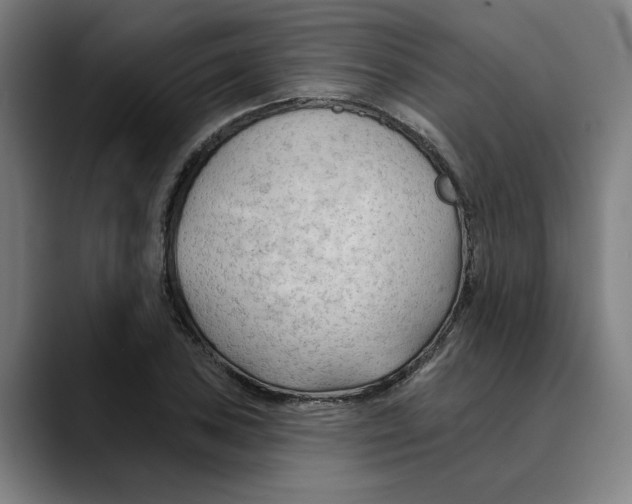 X0000089341027200707131508