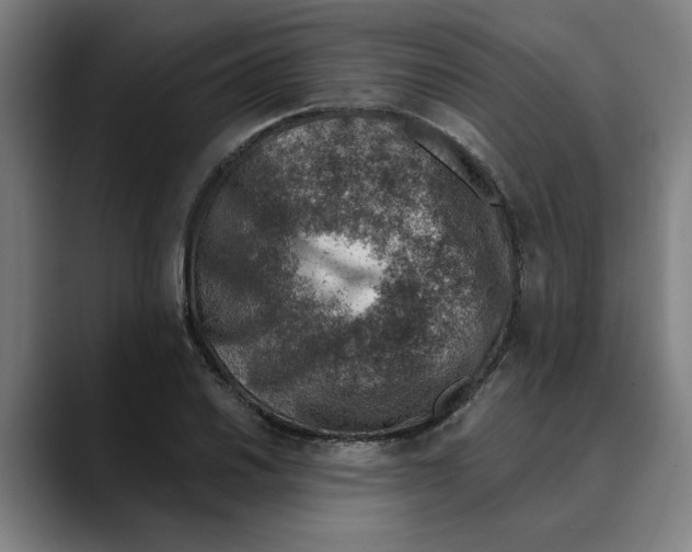 X0000089341030200707131508