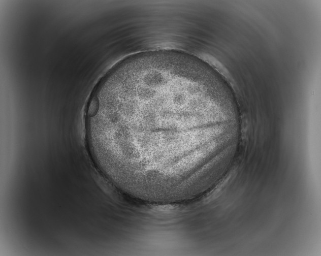 X0000089341031200707131508