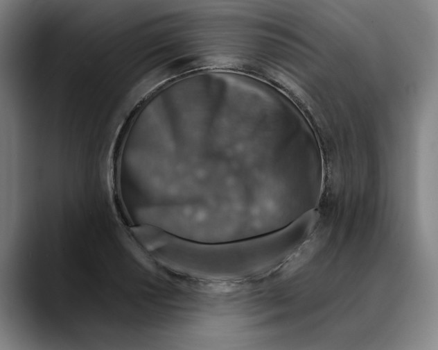 X0000089341034200707131508