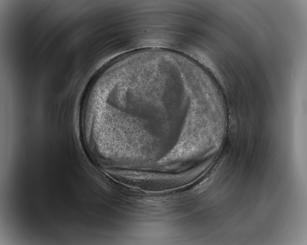 X0000089341035200707131508