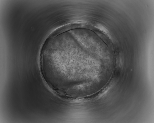 X0000089341038200707131508