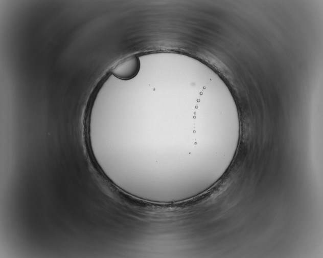X0000089341039200707131508