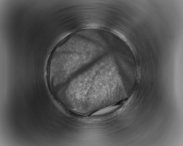 X0000089341042200707131508